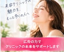 美容クリニックのMeta広告の初期設定を支援します 美容医療のInstagram・Facebook広告に対応！ イメージ10