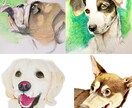色鉛筆で手書きの愛犬との特別な瞬間を描きます 世界でたった1枚の宝物をアートとして残しませんか？ イメージ1