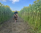 日常の写真を最新iPhoneで販売します 子供風景日常をテーマに撮影します イメージ6