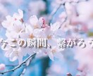 昼限定価格☪︎包んで欲しい時✩.丁寧に寄り添います お休み？夜勤明け？あなたの生活に至上の癒しの時間を☪︎*｡꙳ イメージ4