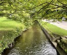 守護龍鑑定します ご自分の龍を知って運気上げませんか。 イメージ3