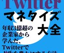 Twitterマネタイズ完全攻略法を教えます 年収3億超の起業家から教わった、Twitter完全攻略法 イメージ2