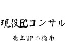 現役ECコンサルが格安でコンサルします 売上が上がらない、やり方がわからない方ご相談下さい イメージ1