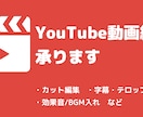 YouTube等の動画編集代行します 実績作りのため8月までの特別価格 イメージ1