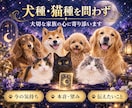 ペットの気持ち・本音を霊視タロットで丁寧に占います 犬猫限定｜今の本音・望み・飼い主様への想いを丁寧にお届け イメージ2