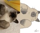 お家の猫ちゃんのイラストを描きます 写真をもとに可愛く描きます。アイコンやヘッダーにどうぞ！ イメージ1