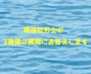 現役社労士が、事業主様のご質問に2週間対応します 保険関係や身近な労働問題に関しご質問ください イメージ1