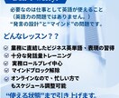 オンラインビジネス英会話レッスンを行います 30歳過ぎから習得した元講師がマインドから変えるビジネス英語 イメージ2