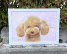 ハガキサイズのペット似顔絵をお届けします 飾りやすく、贈りやすい。大切な“うちの子”をやさしく描きます イメージ7