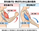 参考画像・資料・ラフから 伝わる説明図を作成します 複雑な内容を、用途に合った見やすい図へ整理します イメージ2