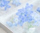アダルトチルドレンの方＊60分優しく寄り添います 毒親育ちでお悩みの方、つらいですよね…お話お聞きします☘️ イメージ4