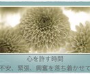 1時間チャット誰にも話せない思いを安心して話せます ✴︎ 夫を亡くした経験から心を込めてお聴きします イメージ1