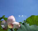 心の悩み相談　受付けます 一緒に考えて、解決しましょう✨ イメージ3