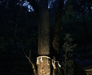 効果抜群！京都の復縁神社へ代行参拝いたします 知る人ぞ知る復縁神社に、貴方の代わりに参拝いたします！ イメージ3