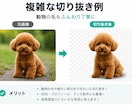 1枚140円～画像の切り抜き・背景透過を行います 1枚からOK！自然で美しく仕上げます！ イメージ4