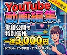 実績公開で3000円 動画編集を承りますます 現在、ココナラでの実績作りのため、特別価格で承ります！ イメージ1