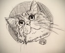 猫ちゃんのイラスト描きます 写真があればどんな猫ちゃんも描きます✏️ イメージ4