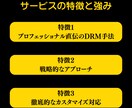 セールスコピー作成！売れるコピーをつくります あなたの想いを形にしながら読み手に刺さる売れるコピーを作成 イメージ2