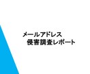 メールアドレスの漏洩情報を調べます セキュリティの専門家による、メールアドレス漏洩調査サービス イメージ4