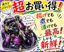 道の駅・農産物直売向けのPOPやチラシを作成します 「農産物の魅力を伝える販促POP制作」 イメージ5