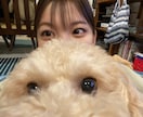 テープ起こし・文字起こし承ります シュライバー(会話内容を文字に起こす仕事)の勤務経験あり イメージ1
