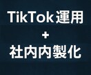 TikTok運用支援コンサル内製化＆戦略設計します 「投稿代行」よりも、「売上につながる仕組み」を残しませんか？ イメージ1