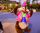 1日でディズニーランドを満喫できる方法教えます。 イメージ3