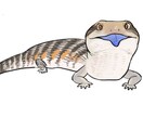 ペットのイラストかきます 種はご相談ください！爬虫類、小動物、犬猫描きます イメージ2