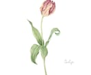 水彩画でお花のイラストを描かせていただきます 〜丁寧なヒアリング〜 温かく優しいタッチが得意です♪ イメージ8
