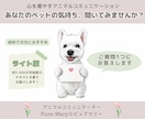 ライト版★アニマルコミュニケーションします ★ペットの気持ちをやさしくお伝えします イメージ1