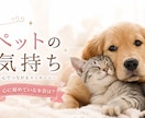 ペットちゃんの気持ちを占います 最近気になるペットちゃんの秘密、お教えします。 イメージ1