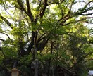 あなたのお悩み相談にのります 人生経験豊富なオジ様があなたのお悩みスカッと解決。 イメージ1