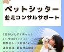 並走コンサルティングサポート(3ヶ月6回)承ります 現役シッターによる現場目線の伴走支援・起業後サポート イメージ1