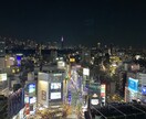 あなたに合わせた、東京の観光プランをご提案します 質問に答えるだけで、東京案内のプロがベストプランを導きます！ イメージ8