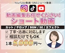 丸投げ | SNSショート動画を編集します TikTok,Instagram,YouTubeなど各SNS イメージ1