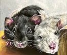 ペットや推しの動物似顔絵⭐︎肖像画　承ります 誕生日やお迎え記念日・プレゼントにオススメ！ イメージ3