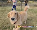 PV・CM・イベント記録の撮影、編集まで承ります 企画段階からご協力致します。お気軽にご相談ください！ イメージ3