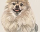 リアルで存在感のあるイラストを描きます 毛並みやお顔をしっかりと描きこんだリアルなイラスト イメージ2