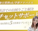 初心者OKの英語学習チャットサポートをします いつでも何回でも質問OKのチャットサポート イメージ1