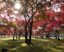 恋愛も仕事も家庭も◎あなたの今をタロットで占います 平均1000文字超！安くても本気。全力で鑑定いたします♡ イメージ4