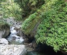 愚痴や悩み事等聞きます 相談したくても誰も相談する人がいない方にお薦めします。 イメージ4
