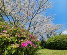 動画編集します。応募待ってます 僕の作る動画で喜んでいただきたいです。 イメージ1