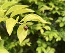 お相手様の今の状況とあなた様へのお気持ちをみます 深掘り人間関係霊視タロット占いだからお名前のみで気軽に占える イメージ1