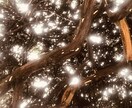 心身の状況に合わせてレイキ遠隔ヒーリングいたします 宇宙のエネルギーで様々なストレスを癒します オラクルカード付 イメージ1