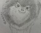 大好きな人や動物を鉛筆画に描きおこします 世界にたったひとつの暖かみのある画に仕上げます！ イメージ2