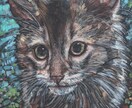 ペットの似顔絵を描きます 犬、猫、小鳥、魚、昆虫、牛など何でもOK イメージ4