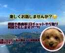 楽しくお話しませんか？相談にも乗ります 介護、ペット、夫婦問題、友達関係等の相談OKです！ イメージ1