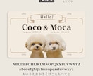 写真入り犬多頭さんペット用カートプレート作成します イベントが楽しくなる！デザイナーの高品質セミオーダー送料込 イメージ7