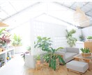 花屋・カフェの開業アドバイスします ヨーロッパで学び×18年現場経験｜憧れのお店をカタチにします イメージ6