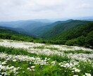 苦しい、辛いあなたに、そっと静かに寄り添います しんどい時は頑張らないで下さいね。大切なのはあなたです。 イメージ6